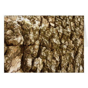 Diseño texturizado natural de la barra de árbol II