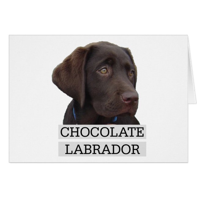 ¡Diseño único de Chocolate Labrador! (Anverso (Horizontal))