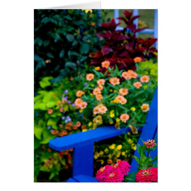 diseños de jardín en nuestro jardín Sammamish, (Frente)