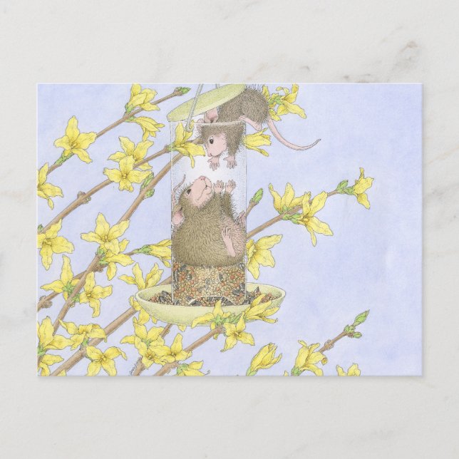 Diseños House-Mouse® - Tarjetas Post (Anverso)