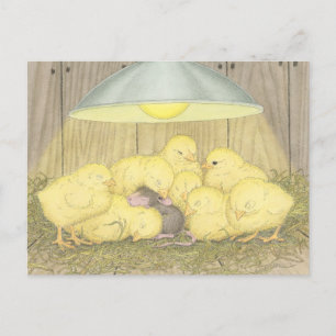 Diseños House-Mouse® - Tarjetas Post