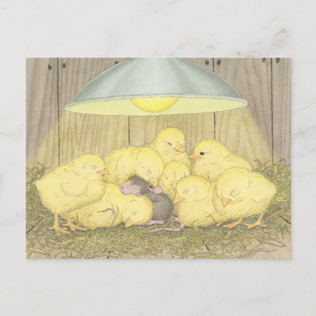 Diseños House-Mouse® - Tarjetas Post (Anverso)