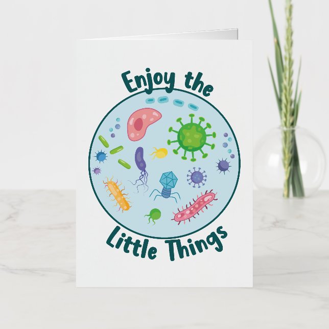 Disfruta de la divertida biología de las pequeñas  (Anverso)