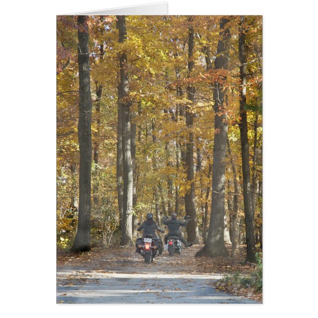 ¡Disfruta el paseo! (Frente)