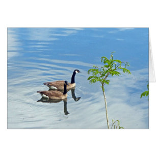 Disfrutando de un baño