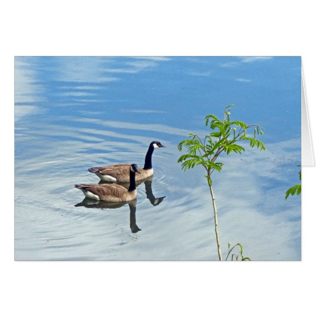 Disfrutando de un baño (Anverso (Horizontal))