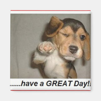 disfrutar del imán del día