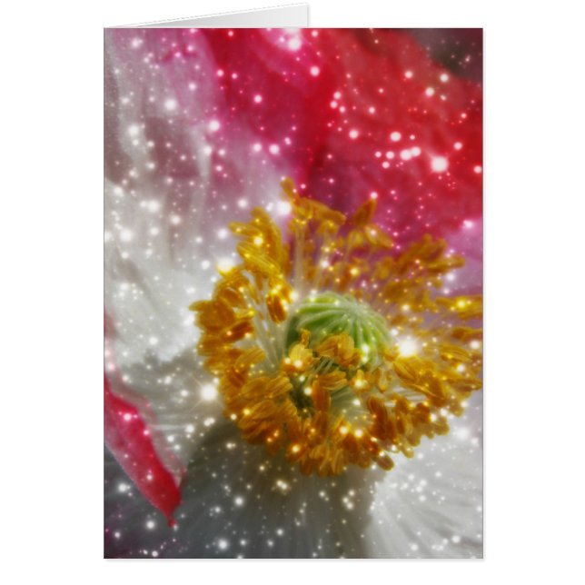 Disquetera brillante (Frente)