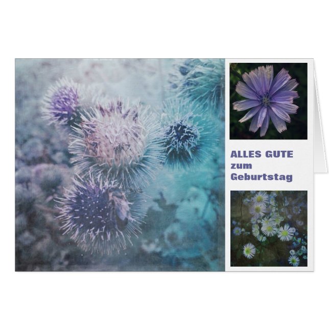 Distelblüten (Anverso (Horizontal))