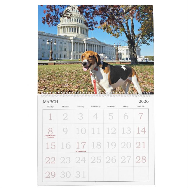 Distrito del perro calendario de 18 meses (Mar 2026)