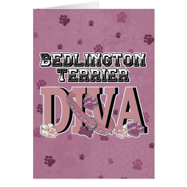 DIVA de Bedlington Terrier (Frente)