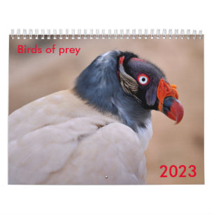Diversas aves del calendario de presas