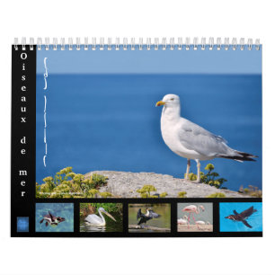 Diversas aves marinas calendario de 12 meses