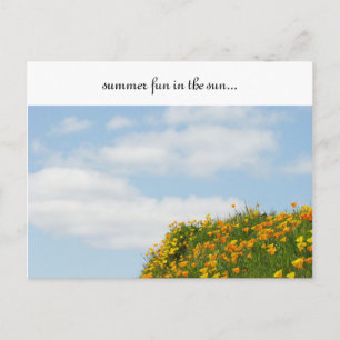 Diversión de Verano bajo el Sol! Tarjetas Postales