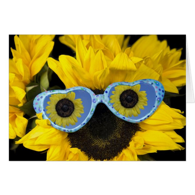 Diversión En El Sol (Anverso (Horizontal))