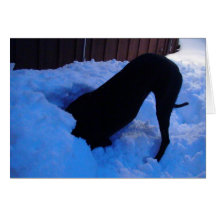 Diversión en la nieve