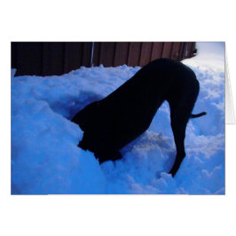 Diversión en la nieve