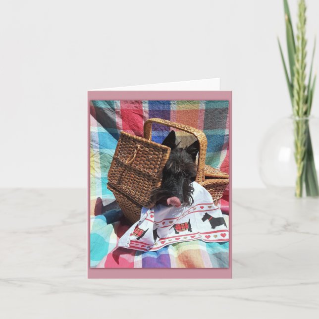 Diversión picnic (Anverso)