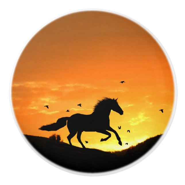 Diversos pomos de caballo y brotes (Anverso)