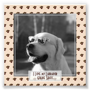 Divertida Cute Golden Labrador Recuperador de FOTO