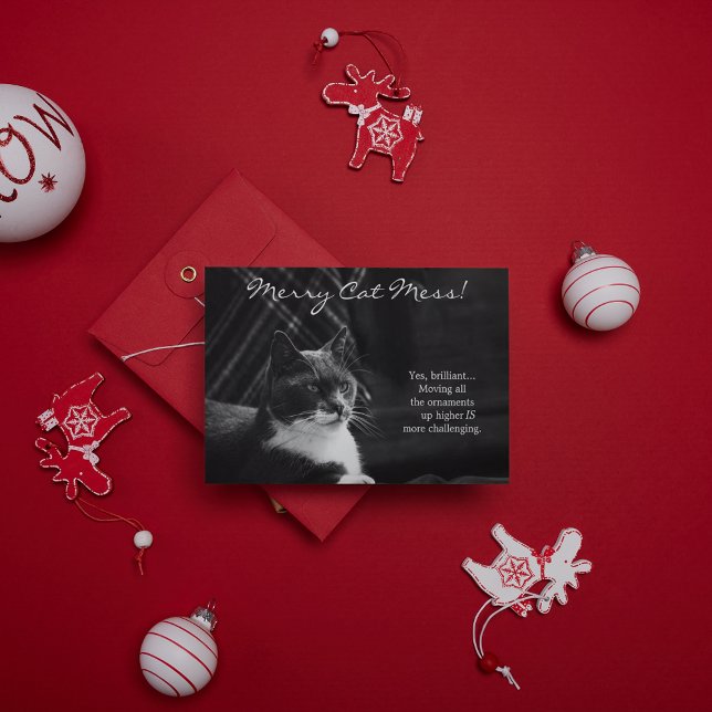 Divertida Feliz Gata Desorden Navidad (Subido por el creador)