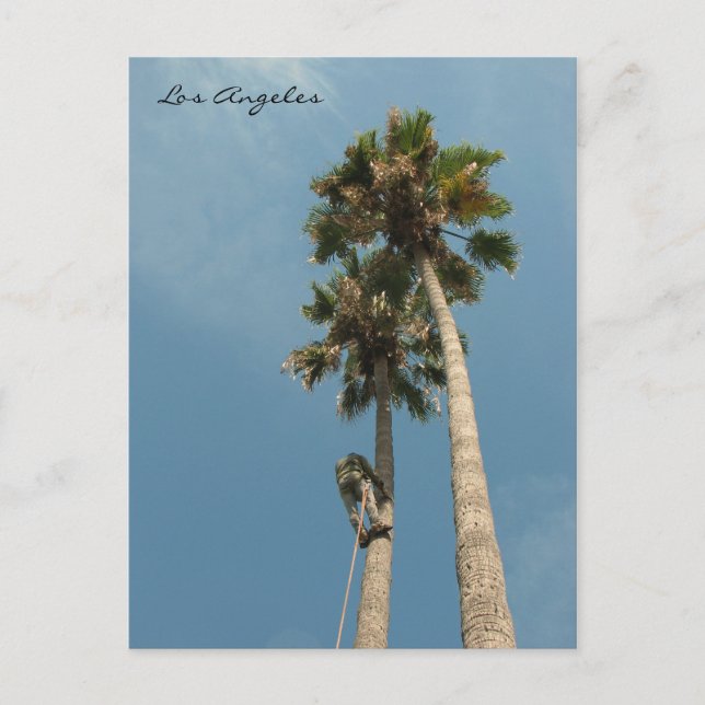 ¡Divertida postal de Los Ángeles! (Anverso)