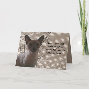 Divertida tarjeta de ocultación