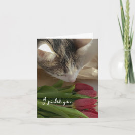 Divertida Te Amo desde la Tarjeta del Gato