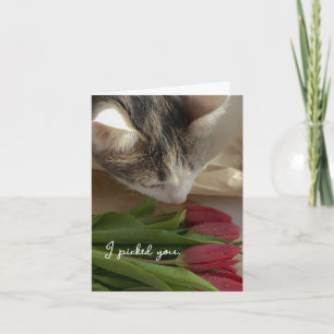 Divertida Te Amo desde la Tarjeta del Gato