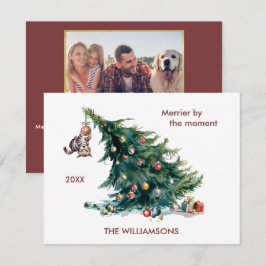 Divertido árbol de Navidad danzando foto de gato