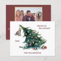 Divertido árbol de Navidad danzando foto de gato