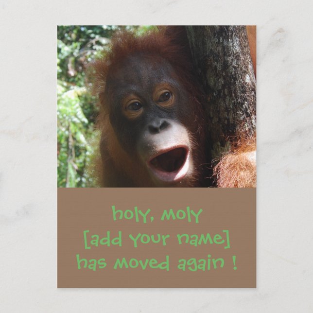 Divertido cambio de dirección Nueva Invitación de  (Anverso)