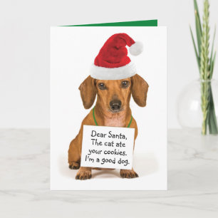 Divertido Dachshund con Rótulo a los Santa Navidad