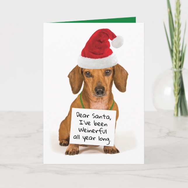 Divertido Dachshund te desea un Navidad maravillos (Anverso)