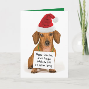 Divertido Dachshund te desea un Navidad maravillos