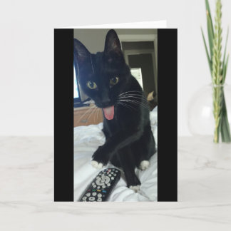 divertido Gracias a que el gato de la tarjeta se e