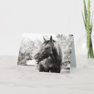 Divertido pensamiento de su tarjeta de caballo