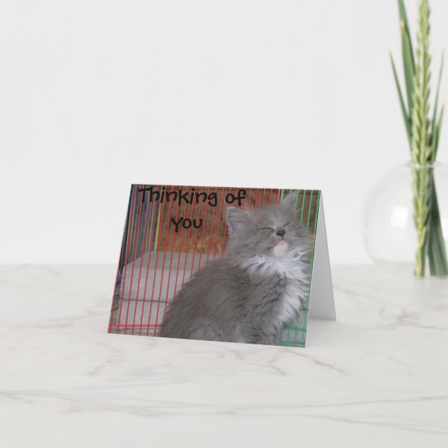 Divertido pensamiento de tu tarjeta (Anverso)