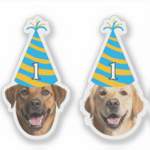 Divertido perro Pegatina de cumpleaños - Cara Pers