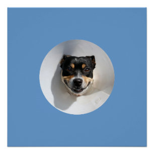 Divertido poster sonriente