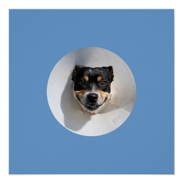 Divertido poster sonriente (Anverso)