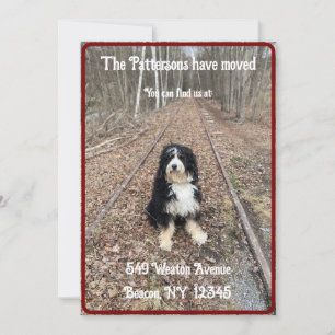 Divertido, rústico con tarjeta de invitación móvil