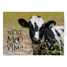 Divertido "¡Somos Moo-ving!" Vaca de Invitación mó
