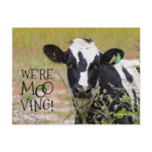 Divertido "¡Somos Moo-ving!" Vaca de Invitación mó