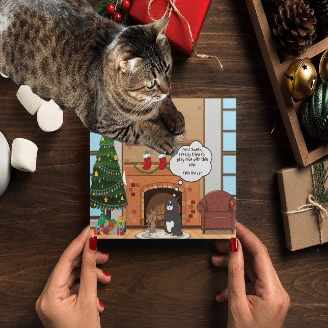 Diviértete con el humor de Navidad Bah Hum Cat tar (Subido por el creador)