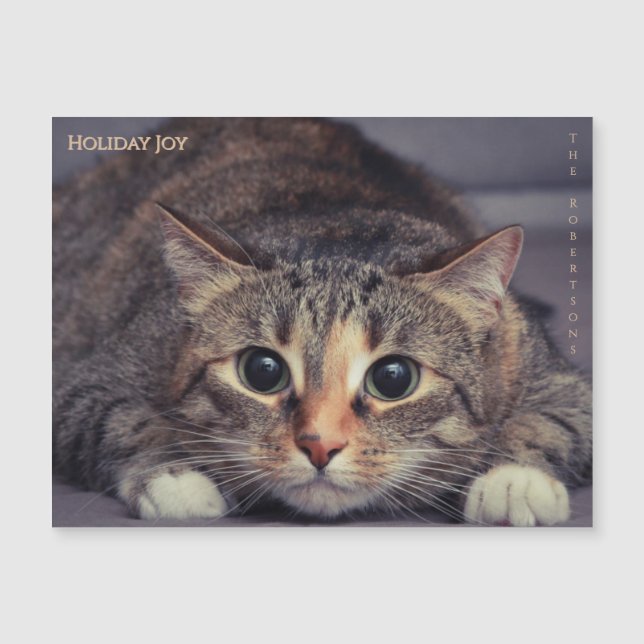 Diviértete con la alegría de las fiestas con la fo (Anverso)