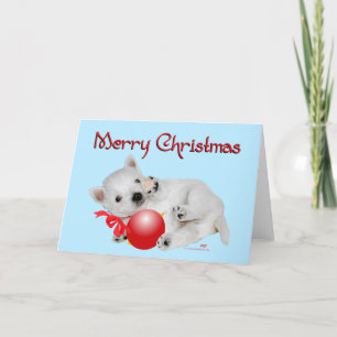 Diviértete en Navidad con cachorros Westie