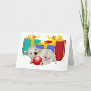 Diviértete en Navidad con un cachorro Westie