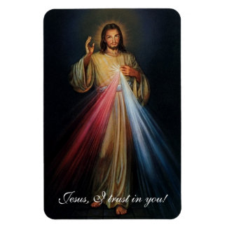 ¡Divina Misericordia Jesús Que Confío En Ti! Imán