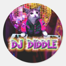 DJ DIDDLE PEGATINA